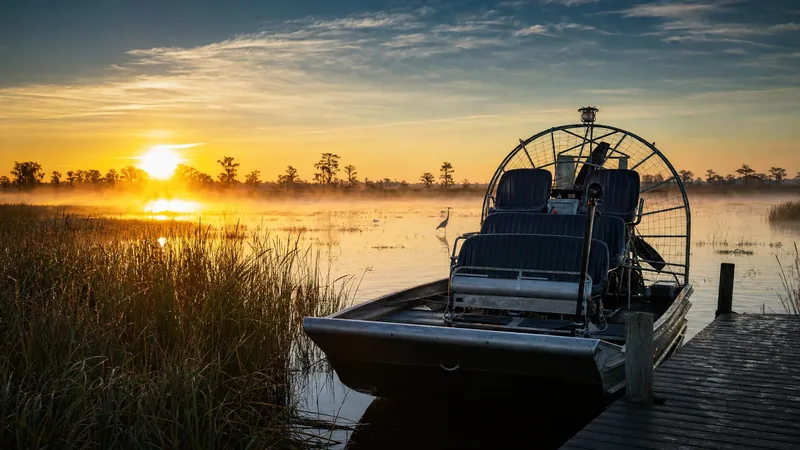 An airboat at a sawgrass marsh landing at sunrise, How to Start an Airboat Tour Business in Florida