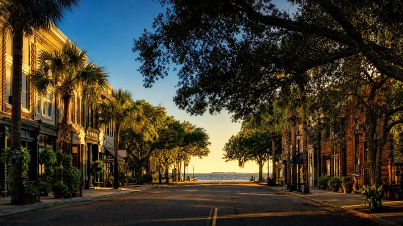 A Tampa Bay area main street with brick storefronts and oaks, Hillsborough County Business License